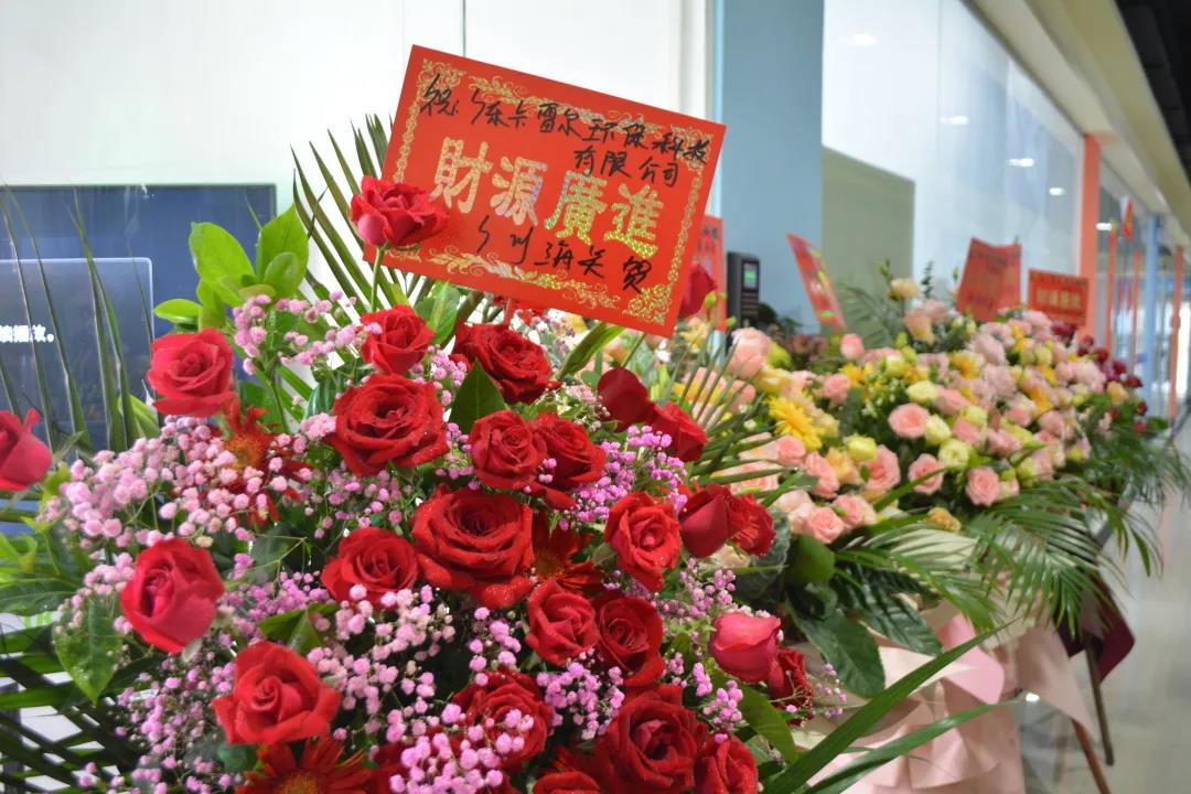 跑出世界速度，環(huán)保紙模先行者卡雷爾落地南沙